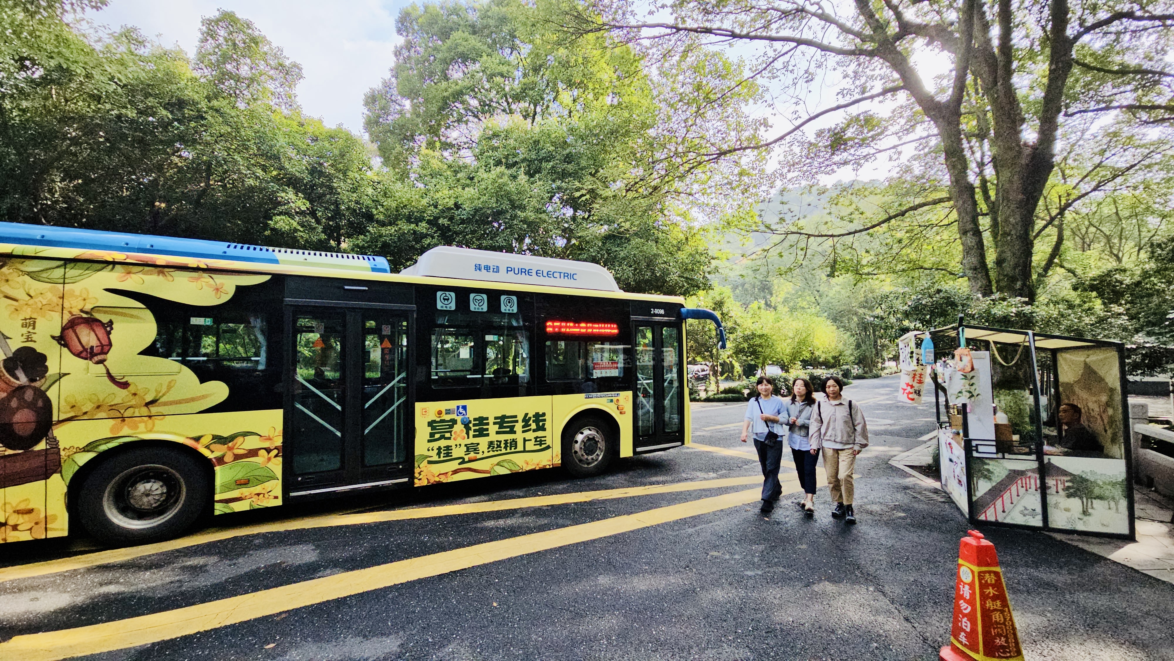 赏桂专线.jpg